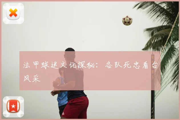 法甲球迷文化探秘：各队死忠看台风采