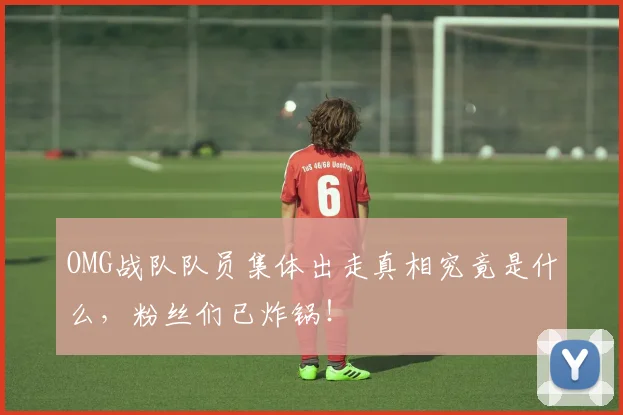 OMG战队队员集体出走真相究竟是什么，粉丝们已炸锅！